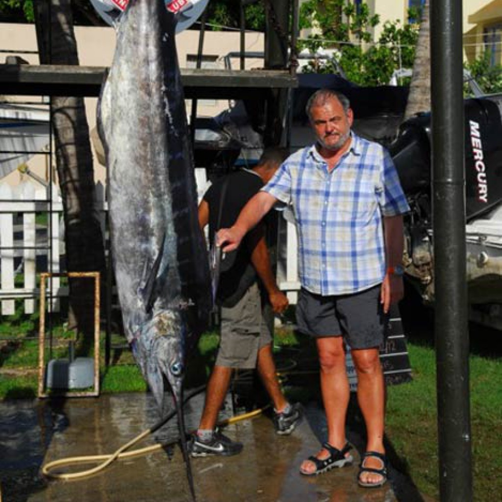 Marlin