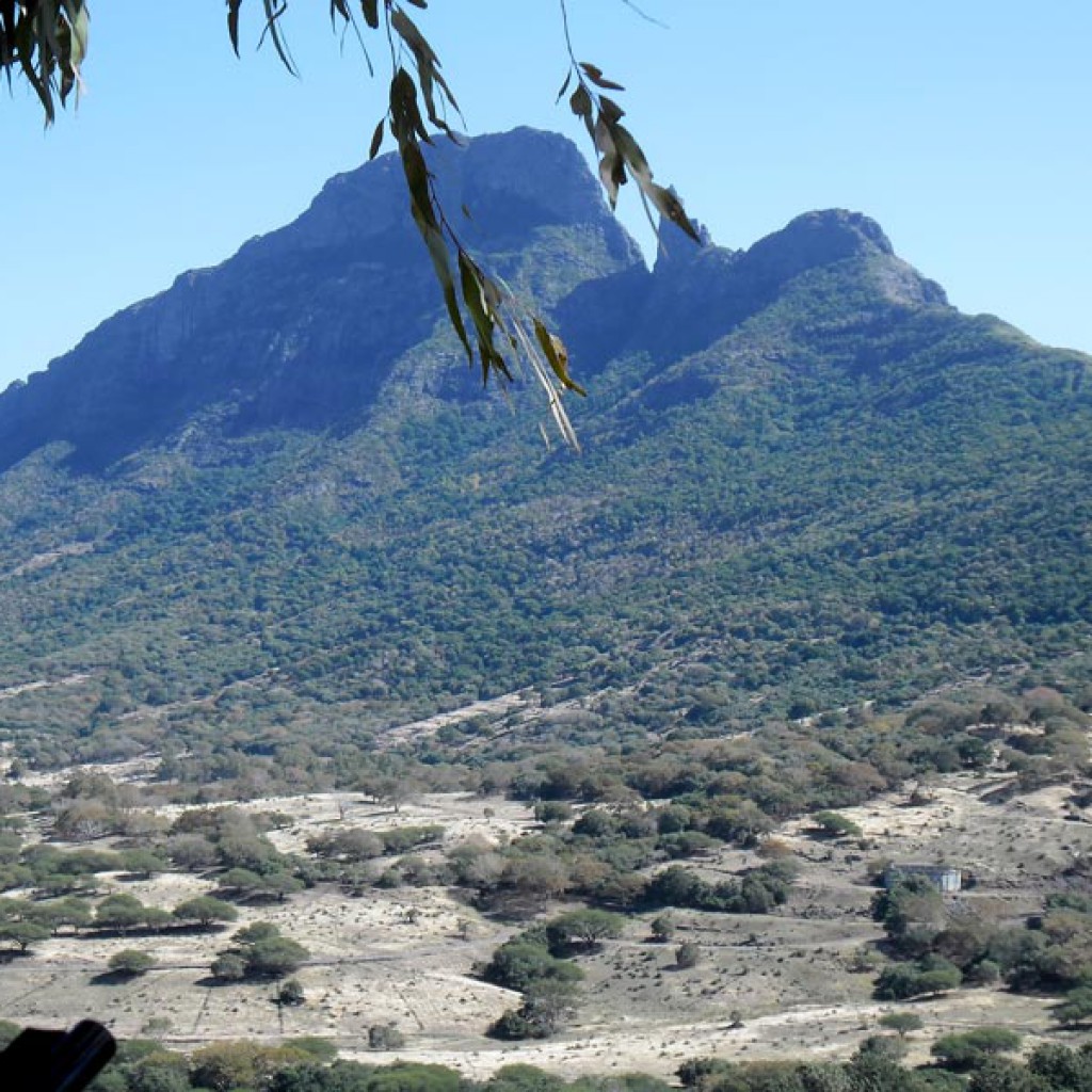 Mauritius hunting landscape